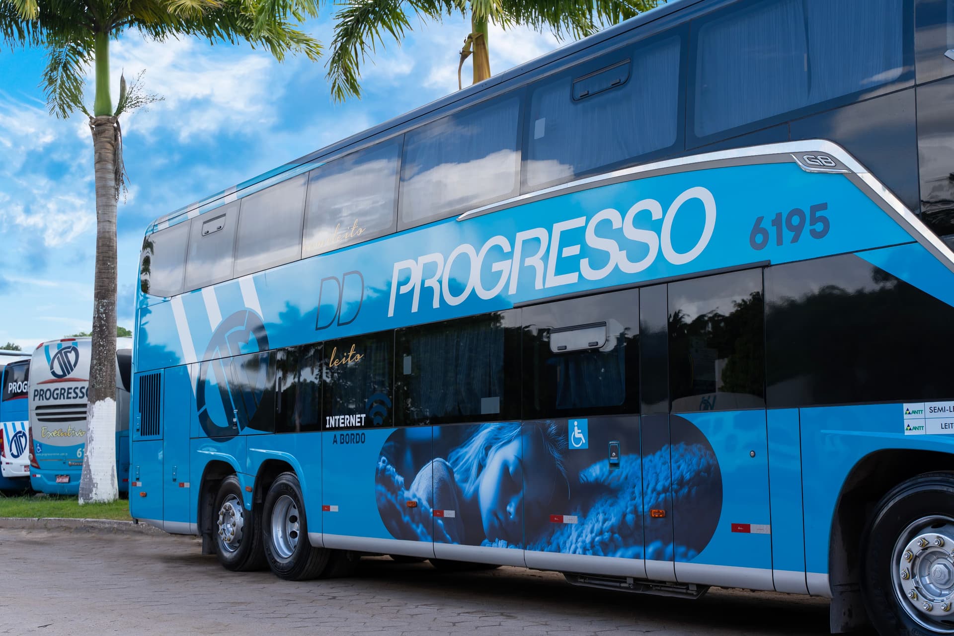 Como funciona o Progrex